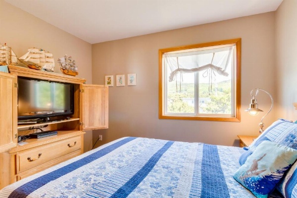 Beach Whale image 14