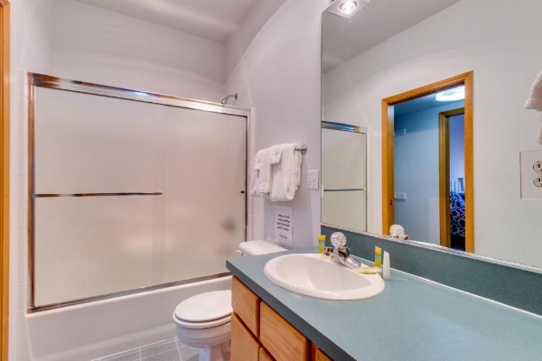 Beach Whale image 22