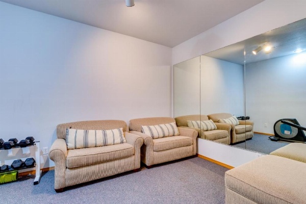 Beach Whale image 25